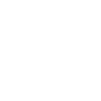 Viaja